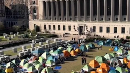 Solidarité sous les Tentes : L’Éveil des Campus Britanniques pour Gaza