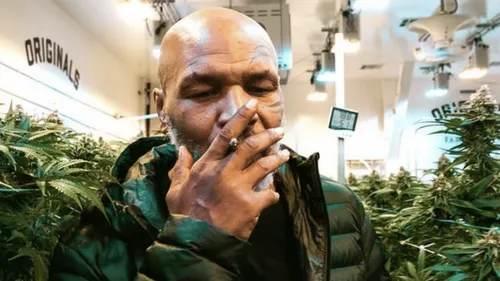 Mike Tyson : son business de marijuana lui rapporterait 500 000...