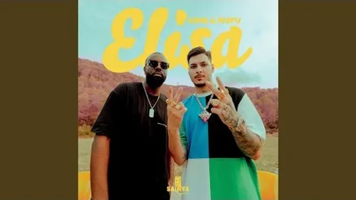 GIMS & Rvfv - ELISA