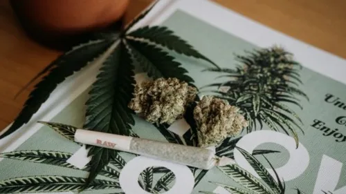 Cannabis : les conséquences sur les jeunes et les insomnies 