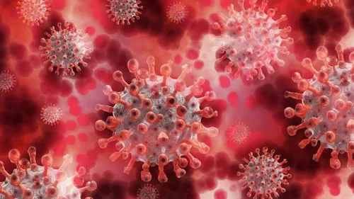 Augmentation précoce des cas de norovirus.