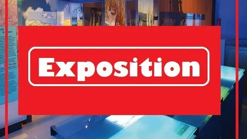 ALLAINVILLE-AUX-BOIS (78) - Exposition : Le Japon