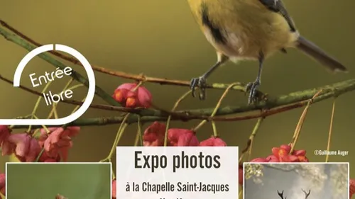VENDÔME (41) - Exposition : Regards Nature