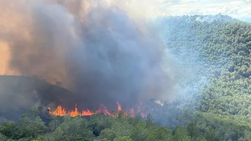 L'Aude touchée par un violent incendie