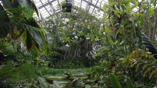 Nancy : Le jardin botanique se mobilise pour le droit des plantes