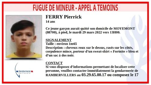 Un appel à témoins lancé par la gendarmerie des Vosges