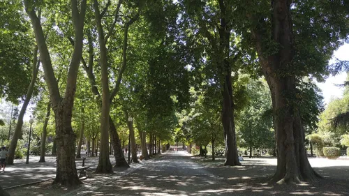 Le parc de la Pépinière se met au vert ce week-end
