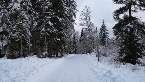 Météo : les premières neiges de la saison en Lorraine