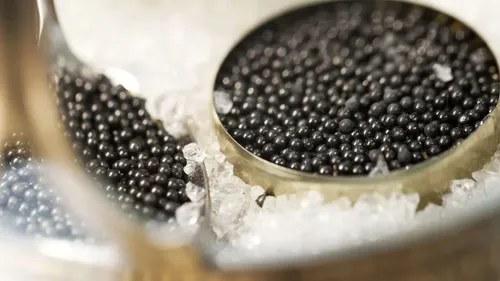 35 000 euros de caviar détruit à Toulouse 