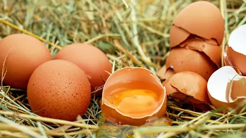 Comment faut-il conserver les œufs ?
