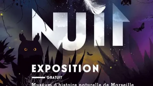 Marseille : découvrez l'exposition interactive "Nuit'