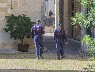 En immersion avec les ASVP, responsables du contrôle du stationnement