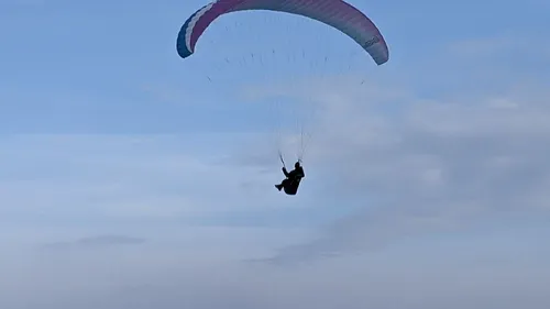 Une parapentiste coincée dans les arbres