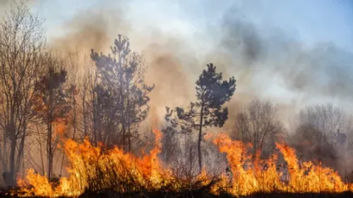 Incendies en Grèce