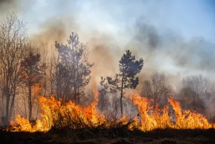 Incendies en Grèce