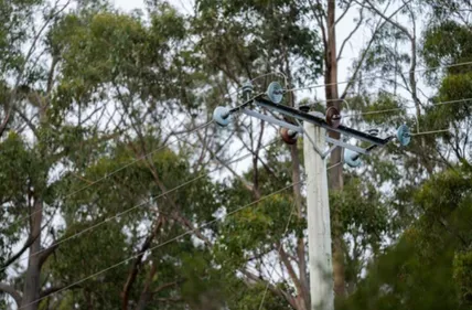 A Spechbach, un arbre tombe sur une ligne haute tension et prive de...