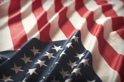 La candidature de Kamala Harris aux élections présidentielles...