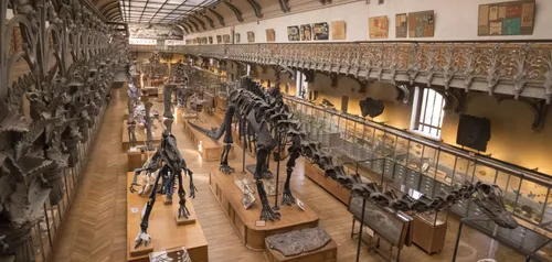Vol spectaculaire d’or au Muséum d’Histoire naturelle : une...