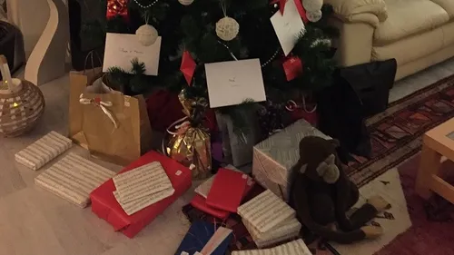 Un habitant sur 3 pense à fêter Noël sans cadeaux dans la région 
