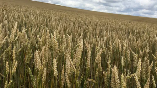 Une conférence sur la « sécurité sociale alimentaire » ce soir à Dijon