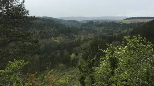 Nouvelle opération de chasse ce mardi à la combe à la serpent 