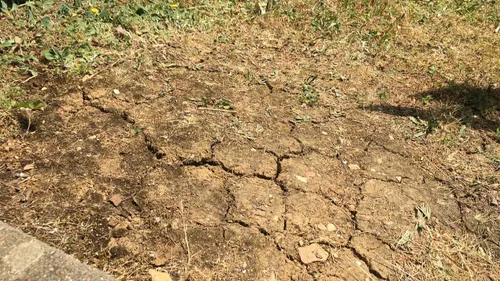 La sècheresse s’accentue en Côte d’Or 