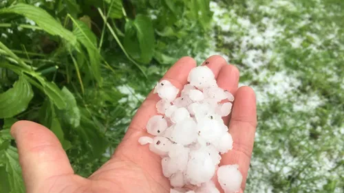 La grêle a déferlé à Dijon 