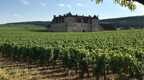 La vente des vins de Nuits soutiendra l’association « Coucou Nous...