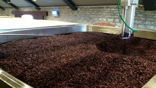 Comment la douane accompagne le secteur de la viticulture 