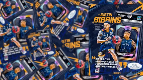 Justin Bibbins, un meneur américain, a signé à la JDA 