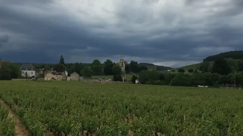 Les infos qu’il ne fallait pas rater cette semaine en Côte d’Or 