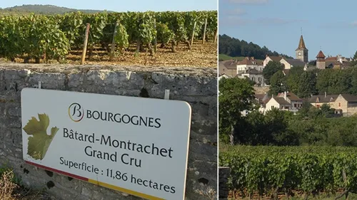 Une vente aux enchères exceptionnelle le 12 novembre 