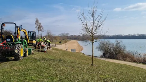 De nouveaux arbres à la base de loisirs d’Arc-sur-Tille 