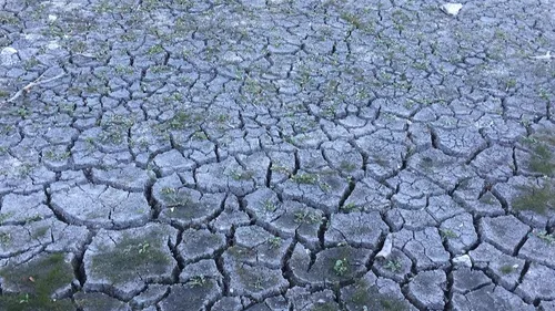 Sècheresse : la ville de Dijon demande l’état de catastrophe...