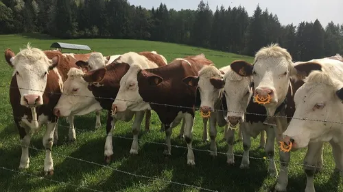 Après le salon de l’agriculture, les écologistes de la région...