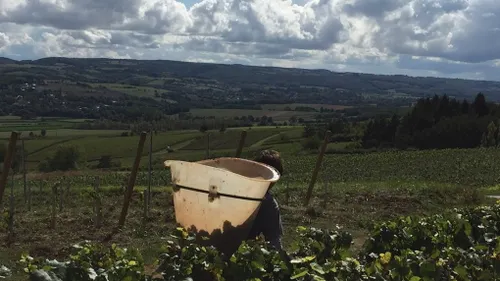 Les syndicats agricoles invitent les agriculteurs à ne pas rester...