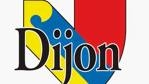 La Ville de Dijon veut interdire la consommation de protoxyde d'azote