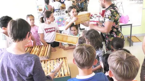 Marsannay-la-Côte : les enfants s’apprêtent à extraire du miel