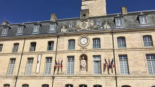 Les élections du conseil municipal d'enfants de Dijon auront lieu...