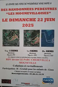 RANDONNEES PEDESTRES "LES MOGNEVILLOISES"