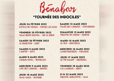 Bénabar dévoile les dates de sa « Tournée des Indociles »