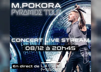 Les fans de M.Pokora pourront assister à son prochain concert...