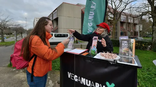 Veganuary en Bretagne : le jambon végétal, vous connaissez ?