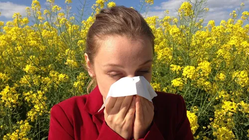 Alerte aux pollens : les Côtes-d'Armor dans le rouge