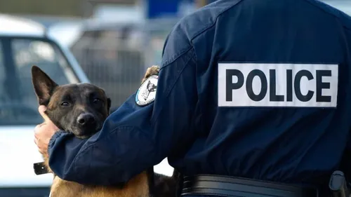 Une course-poursuite à 150 km/h dans les rues de Limoges