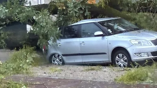 Tempête Benjamin : de nombreux dégâts en Haute-Vienne