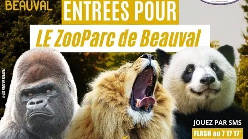 Gagnez vos invitations pour le ZooParc de Beauval