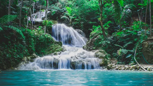 Music Story du jour : La nature