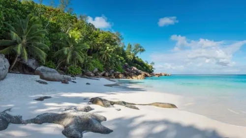 Les plus beaux hôtels des Seychelles