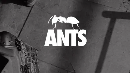 Music Story du jour : Ants Ibiza